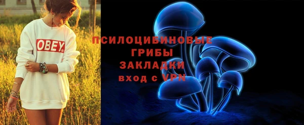 гашик Абаза