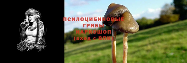 apvp Абинск
