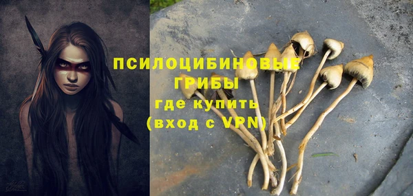 бошки Абдулино