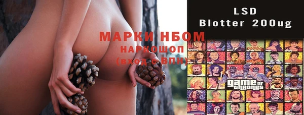 гашик Абаза