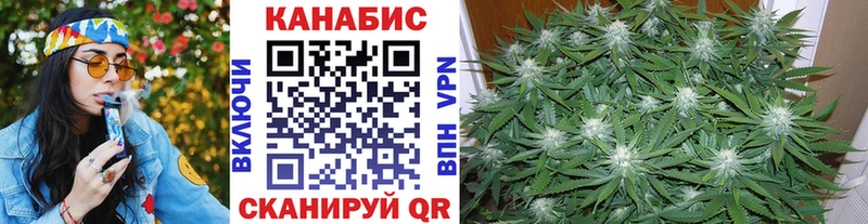 купить наркотик  Ессентукская  Конопля тримм 
